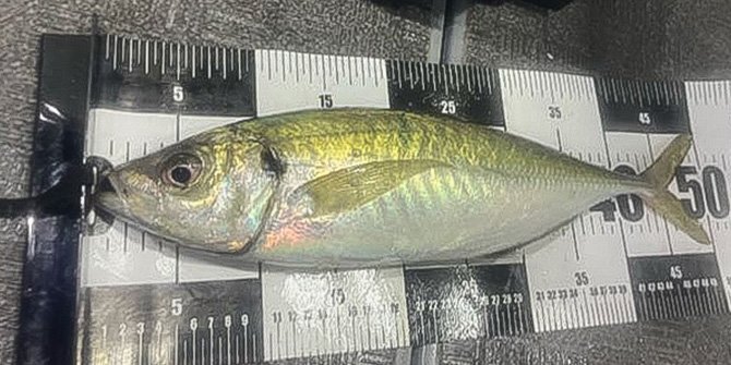 SevenSWell